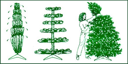 Tree Assembly