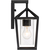 12 in. x 6 in. Outdoor Wall Sconce Fixture - Seeded Glass - Black Finish Thumbnail