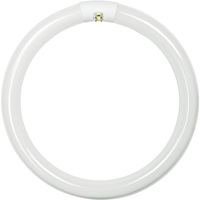 FC12T9 WARM WHITE