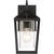 12 in. x 6 in. Outdoor Wall Sconce Fixture - Seeded Glass - Black Finish Thumbnail