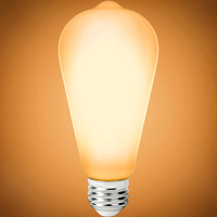 250 Lumens - 2.5 Watt - 2200 Kelvin - LED Edison Filament Bulb - 5.5 in. x 2.5 in. - Frosted - 25 Watt Equal - 120 Volt - PLT-12673