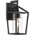 12 in. x 6 in. Outdoor Wall Sconce Fixture - Seeded Glass - Black Finish Thumbnail