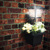 Solar LED Path Light and Planter Thumbnail