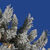 3 ft. Christmas Wreath Thumbnail