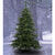10 ft. x 77 in. Artificial Christmas Tree Thumbnail