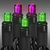 LED Mini Light Stringer - 25 ft. - (50) LEDs - Purple and Lime - 6 in. Bulb Spacing - Black Wire Thumbnail