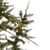 7.5 ft. Artificial Christmas Tree Thumbnail