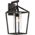 17 in. x 9 in. Outdoor Wall Sconce Fixture - Seeded Glass - Black Finish Thumbnail