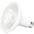 1100 Lumens - 13 Watt - 3000 Kelvin - LED PAR38 Lamp Thumbnail