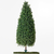 24 in. Boxwood Cone Topiary - UV Resistant Thumbnail