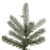 12 ft. x 66 in. Frosted Christmas Tree Thumbnail