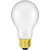50 Watt - Frost - Incandescent A19 Bulb Thumbnail