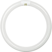 T9 CIRCLINE FLUOR 32W 12PK
