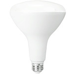 LED - R40 - 2700K - Warm White - Category Image