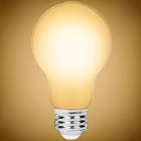 Natural Light - 450 Lumens - 5 Watt - 2400 Kelvin - LED A19 Bulb - 40 Watt Equal - Medium Base - 92 CRI - 120 Volt - PLT-12795