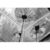24 x 30 x 71 in. - Gorilla Grow Tent Thumbnail