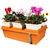 Emily's Garden - Hydroponic System Thumbnail