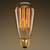 40 Watt - Edison Bulb - 5.4 in. Length Thumbnail