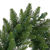 9 ft. Christmas Garland - Camdon Fir  Thumbnail