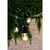 48 ft. Patio String Lights - S14 - Black Wire - 15 Sockets Thumbnail