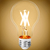 450 Lumens - 5 Watt - 2700 Kelvin - LED A19 Filament Bulb Thumbnail
