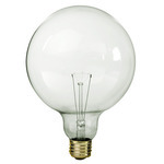 G40 Decorative Globe Incandescent Light Bulbs - Category Image