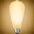 450 Lumens - 5 Watt - 2700 Kelvin - LED Edison Filament Bulb - 5.4 in. x 2.5 in.  Thumbnail
