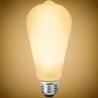 450 Lumens - 5 Watt - 2700 Kelvin - LED Edison Filament Bulb - 5.4 in. x 2.5 in. - Frosted - 40 Watt Equal - 95 CRI - 120 Volt - TCP FST19D4027E26SFR95