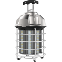 LED WORKLIGHT 250W EQ 5000K