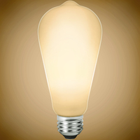 450 Lumens - 5 Watt - 3000 Kelvin - LED Edison Filament Bulb - 5.4 in. x 2.5 in. - Frosted - 40 Watt Equal - 95 CRI - 120 Volt - TCP FST19D4030E26SFR95