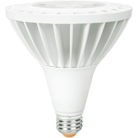 LED PAR38 25W 4000K NFL