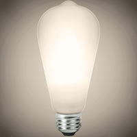 450 Lumens - 5 Watt - 4000 Kelvin - LED Edison Filament Bulb - 5.4 in. x 2.5 in. - Frosted - 40 Watt Equal - 95 CRI - 120 Volt - TCP FST19D4040E26SFR95