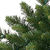 9 ft. Christmas Garland - Douglas Fir Thumbnail