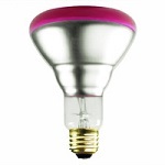 Pink R30 Light Bulbs - Category Image