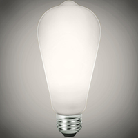 450 Lumens - 5 Watt - 5000 Kelvin - LED Edison Filament Bulb - 5.4 in. x 2.5 in. - Frosted - 40 Watt Equal - 95 CRI - 120 Volt - TCP FST19D4050E26SFR95