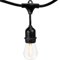 15 LIGHT BLK WIRE 120V PATIO
