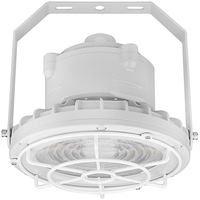 60W ROUND HAZARD FIXT GREY