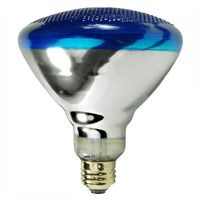 100W BR38 Blue