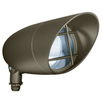 PAR30 Landscape Lt 150W