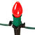 Christmas Light Stakes Thumbnail