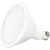 Natural Light - 1200 Lumens - 19 Watt - 3000 Kelvin - LED PAR38 Lamp Thumbnail