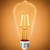 250 Lumens - 2.5 Watt - 2200 Kelvin - LED Edison Filament Bulb - 5.5 in. x 2.5 in. Thumbnail
