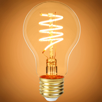250 Lumens - 4 Watt - 2200 Kelvin - LED A19 Filament Bulb - 25 Watt Equal - Medium Base - 120 Volt - PLTS-12101
