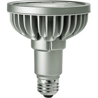 LED 18.5W PAR30 2700K