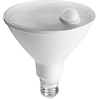 LED PAR38 14W 5000K FLOOD