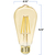 600 Lumens - 7 Watt - 2200 Kelvin - LED Edison Filament Bulb - 5.52 in. x 2.52 in. Thumbnail