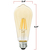 400 Lumens - 4.5 Watt - 2000 Kelvin - LED Edison Filament Bulb - 5.38 in. x 2.38 in. Thumbnail