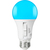 800 Lumens - 8 Watt - LED A19 with 5000 Kelvin and 5 Selectable Colors Thumbnail