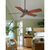 Fanimation FP8009OB - 52 in. Cancun Ceiling Fan Thumbnail