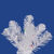 5.5 ft. x 24 in. White Christmas Tree Thumbnail